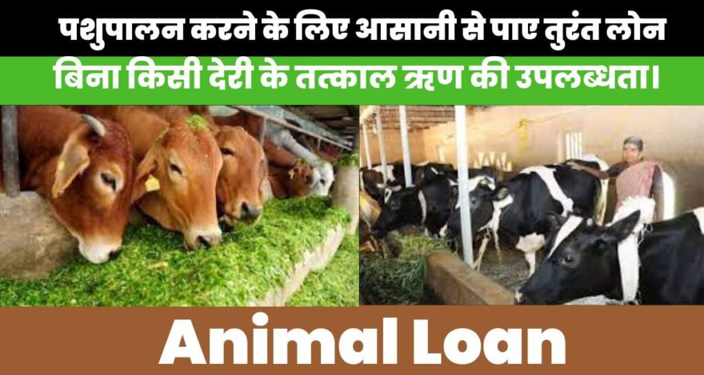 Animal Loan