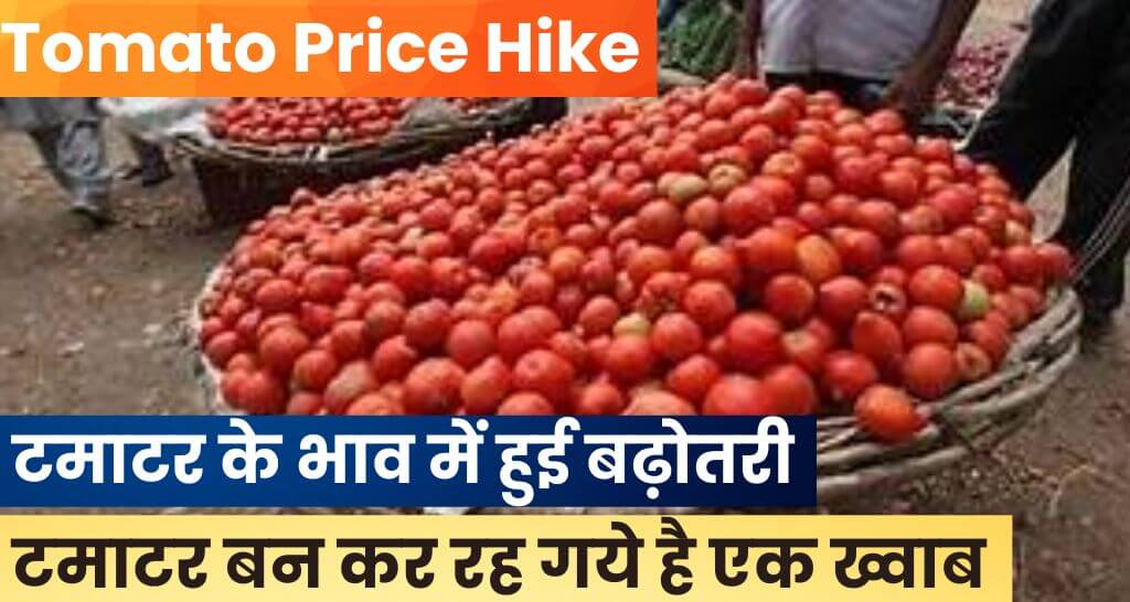 Tomato Price Hike