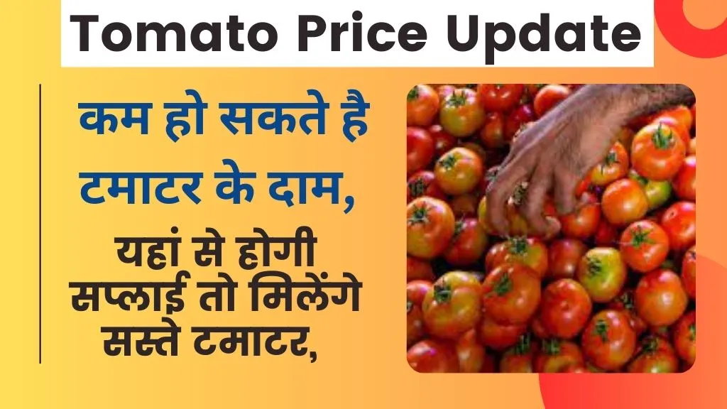 Tomato Price Update