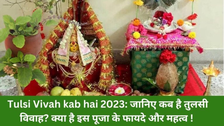 Tulsi Vivah kab hai 2023: जानिए कब है तुलसी विवाह? क्या है इस पूजा के फायदे और महत्व ! 