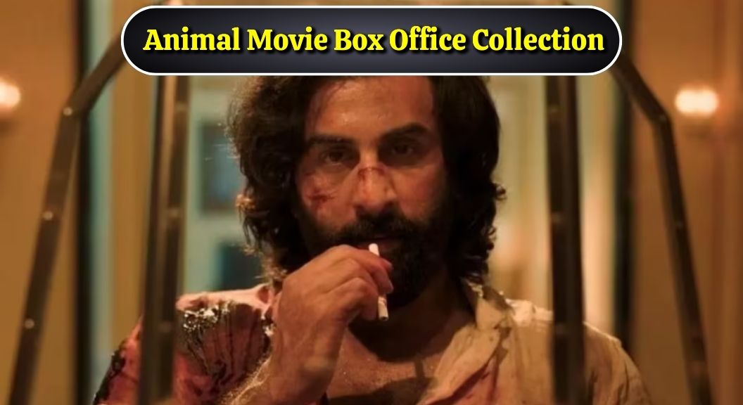 Animal Movie Box Office Collection