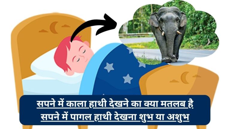 Sapne Mein Hathi dekhna: सपने में काला हाथी देखने का क्या मतलब है, सपने में सफेद हाथी देखने का क्या मतलब है सपने में पागल हाथी देखना शुभ या अशुभ